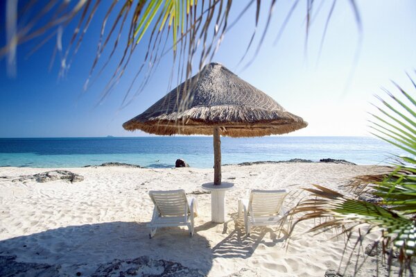 Spiaggia, sabbia bianca, palme. Sotto l ombrello ci sono due lettini