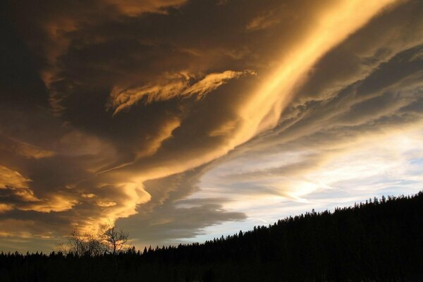 Order over forests, nature clouds