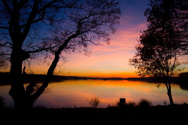 Lac et arbres sur fond de coucher de soleil du soir