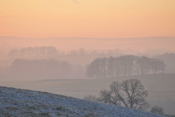 Early winter has come to the fields