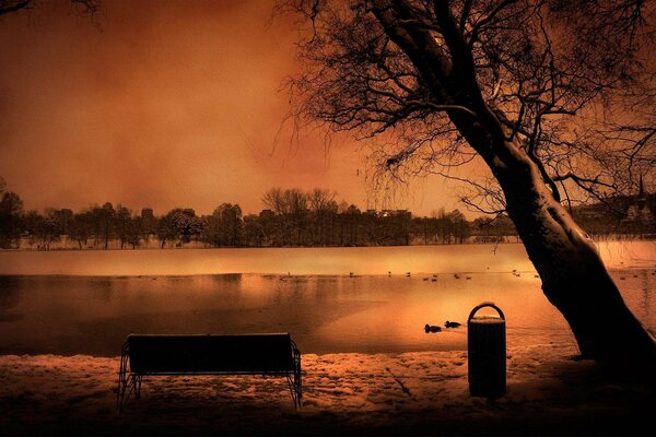 Gloomy evening by the river