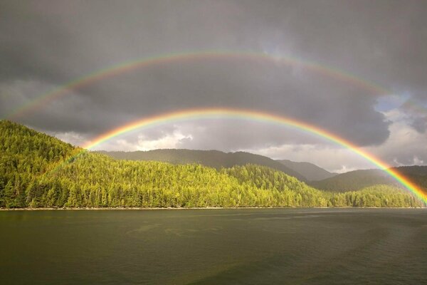 Doppelter Regenbogen über einem Teich im Wald