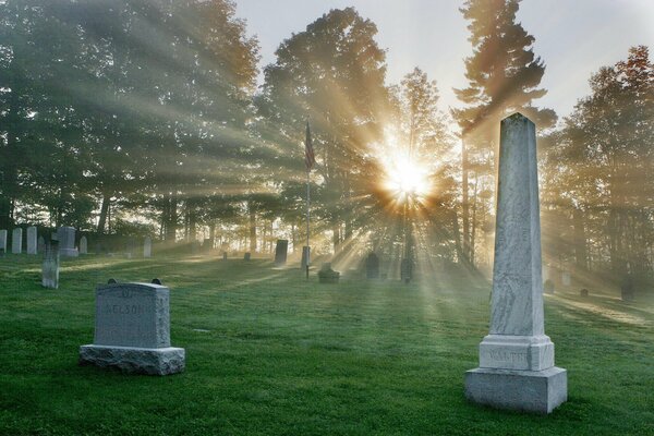 Raggi di sole in un cimitero nella foresta