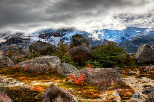 Paysage de montagne avec des pierres et des lichens