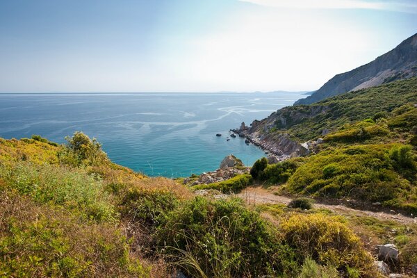 Wild mountain nature on the background of the ocean