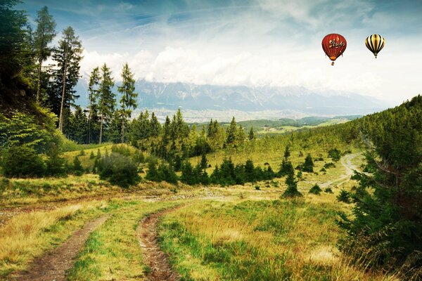 Balloons hovering over the forest