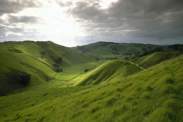 Green hills with meadow and grass