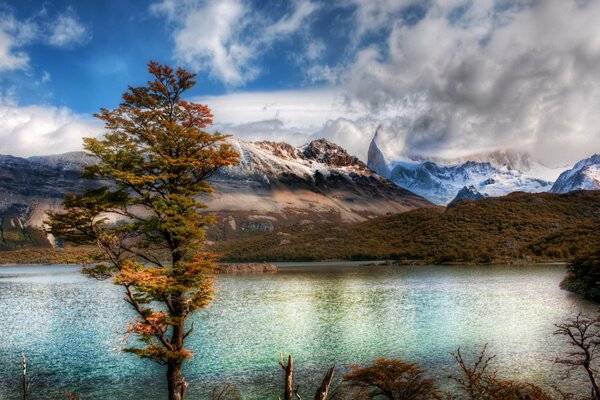 Árbol en el fondo del lago y las montañas