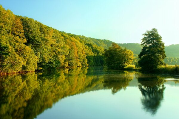 Un río en medio de un bosque con un cielo reflectante