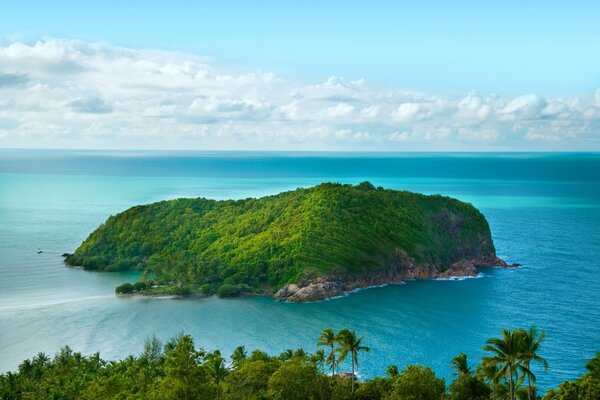 Île verte au milieu de l océan