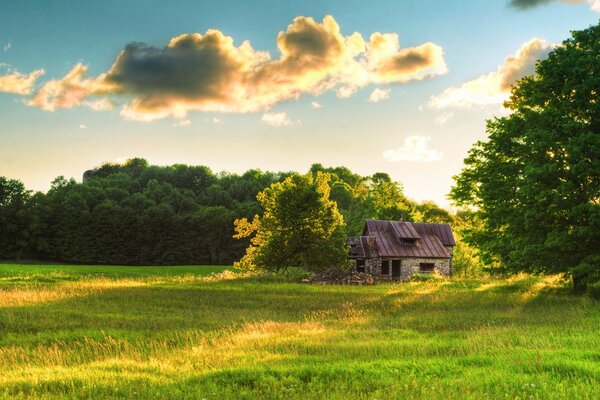 Maison sur une clairière verte sur fond d arbres