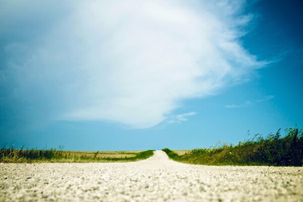 A long road in the summer steppe