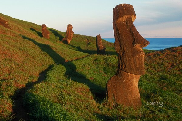 Totem statues of face in the field