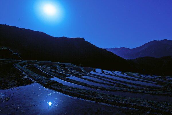 The moon illuminates the rice field