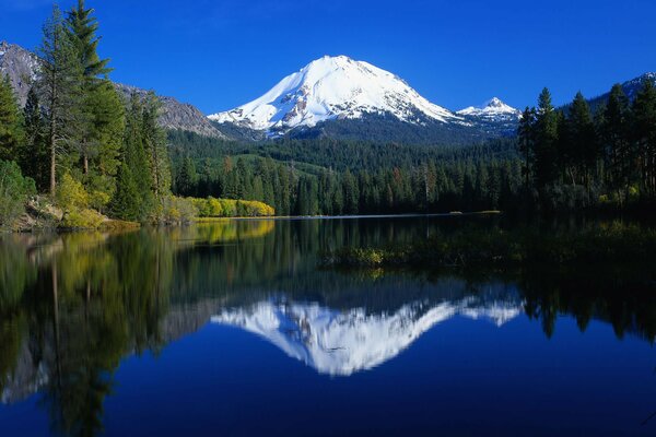 Étendues d eau au milieu de la forêt et des montagnes