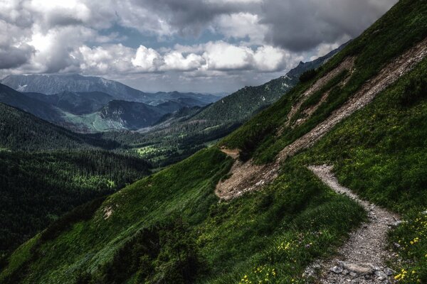 Great mountains covered with fabulous greenery