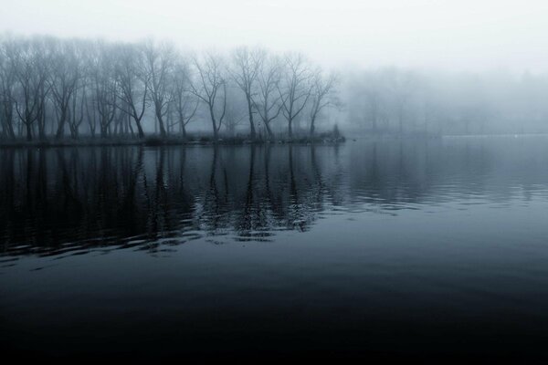 Niebla y frescura en la orilla del río