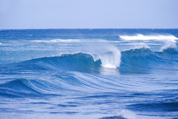 Grandes vagues dans la mer bleue