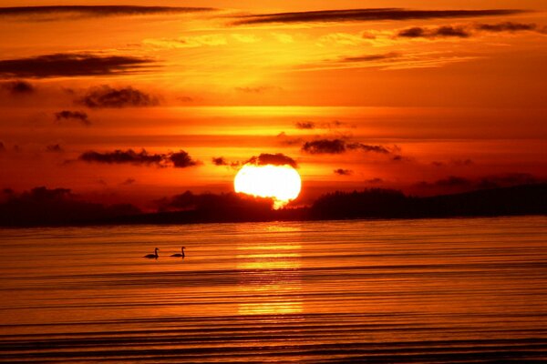 Rot-orange Hintergrund von Wasser und Himmel mit Sonne