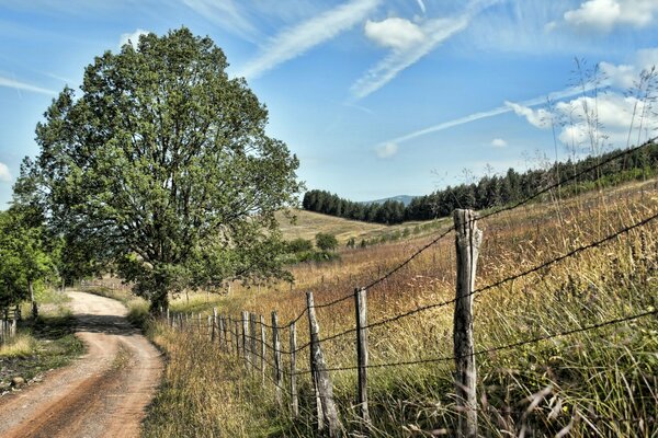 Der Weg führt ins Dorf