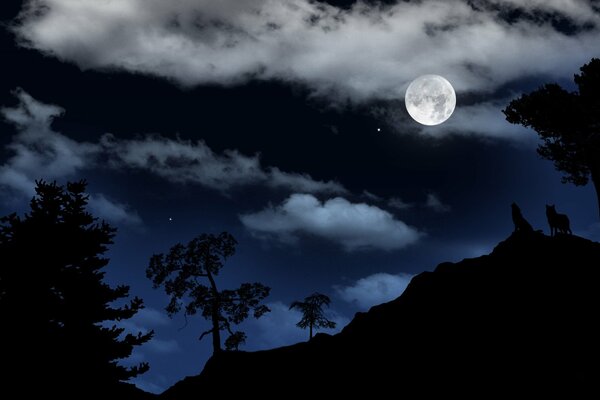 Paisaje nocturno. Luna llena. Lobos nocturnos