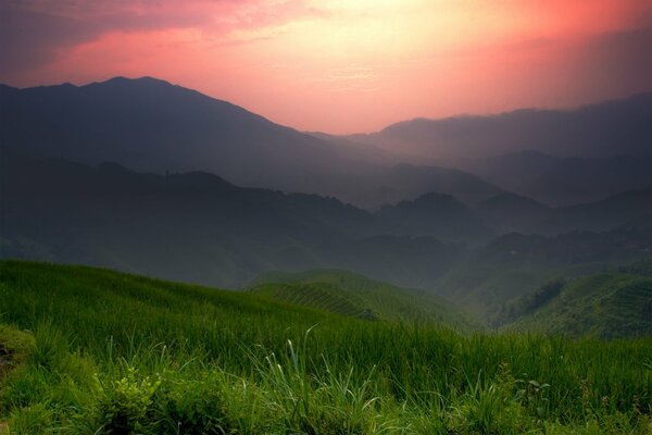 Campos verdes y montañas en China