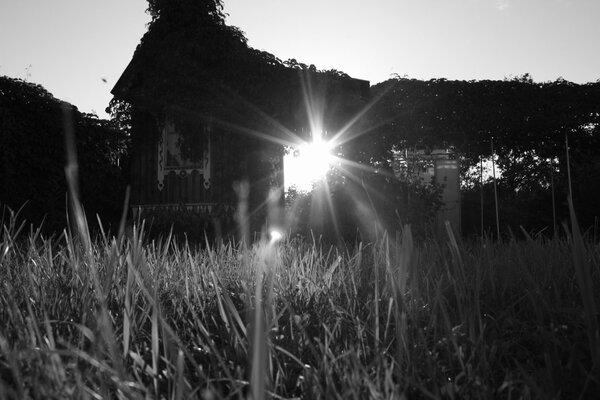 Black and white picture with the sun