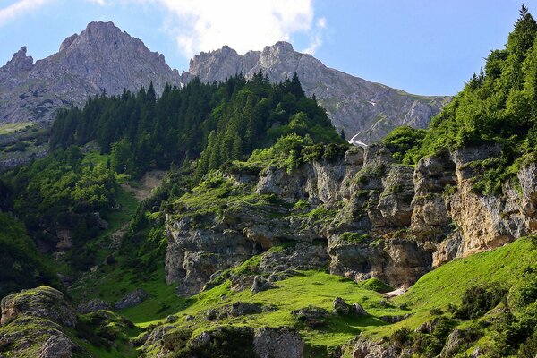 Il sole illumina alberi e rocce