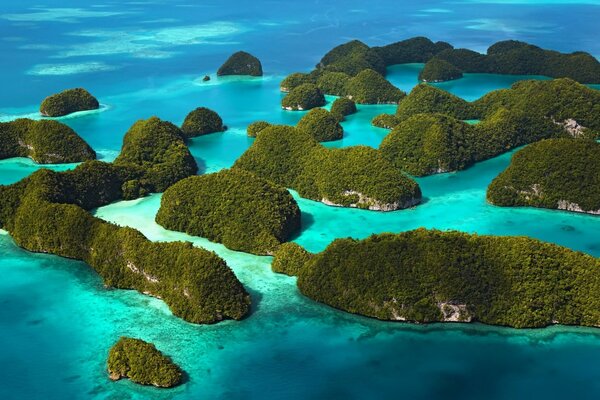 Las islas verdes siguen el océano