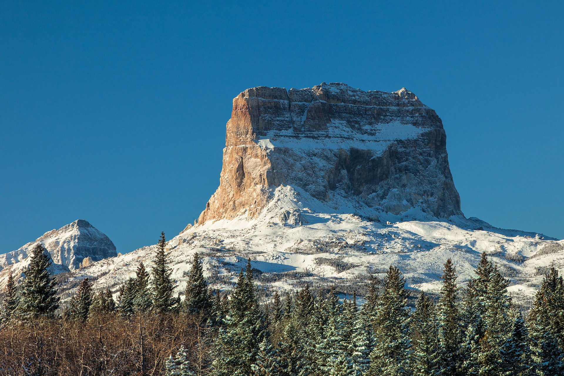 cielo montagne rocce neve alberi