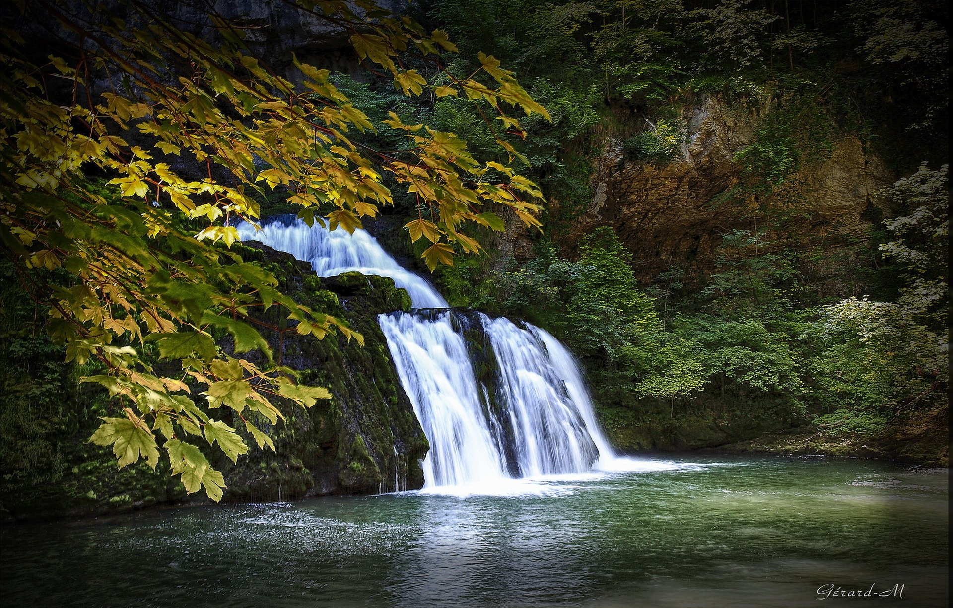 autunno alberi rami foglie cascata