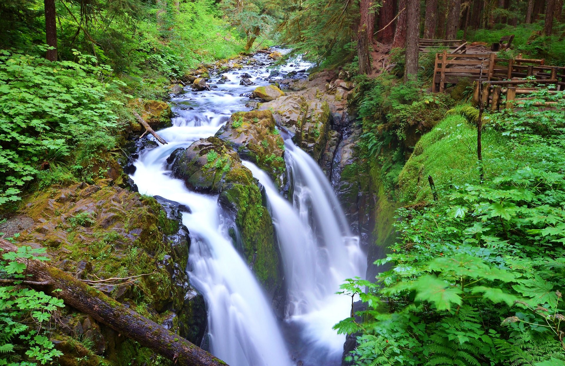 sol duc falls olimpijski park narodowy waszyngton usa rzeka las strumień drzewa wodospad