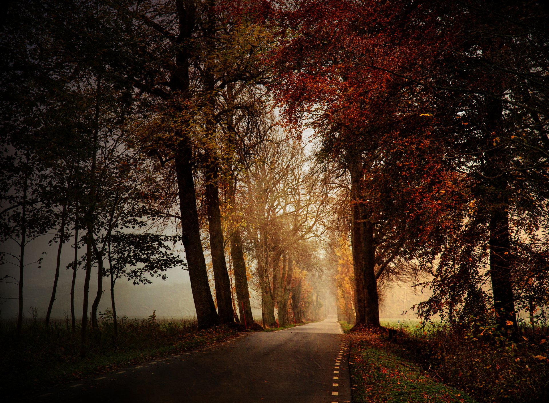 route automne nature