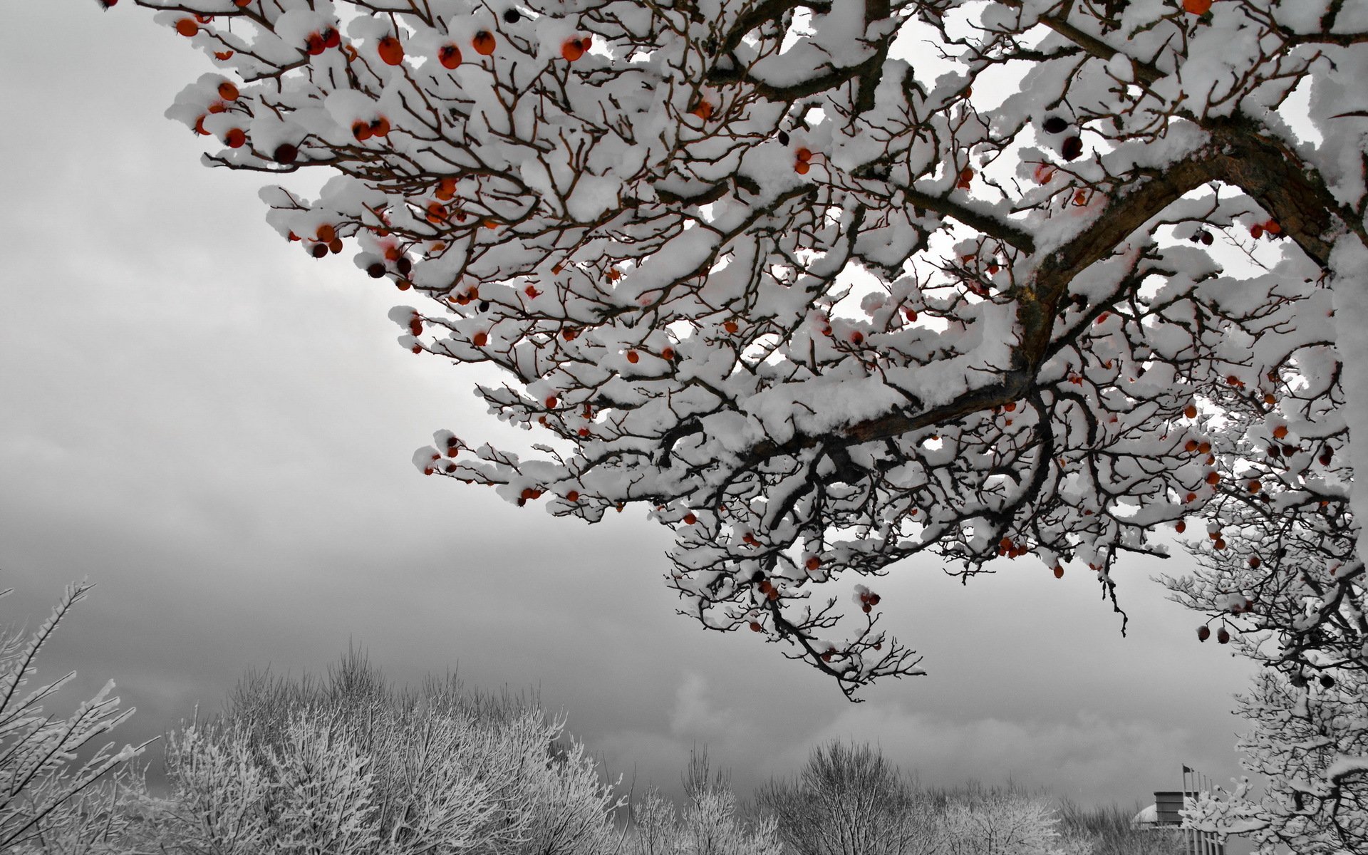 inverno frühling sommer herbst und wieder inverno