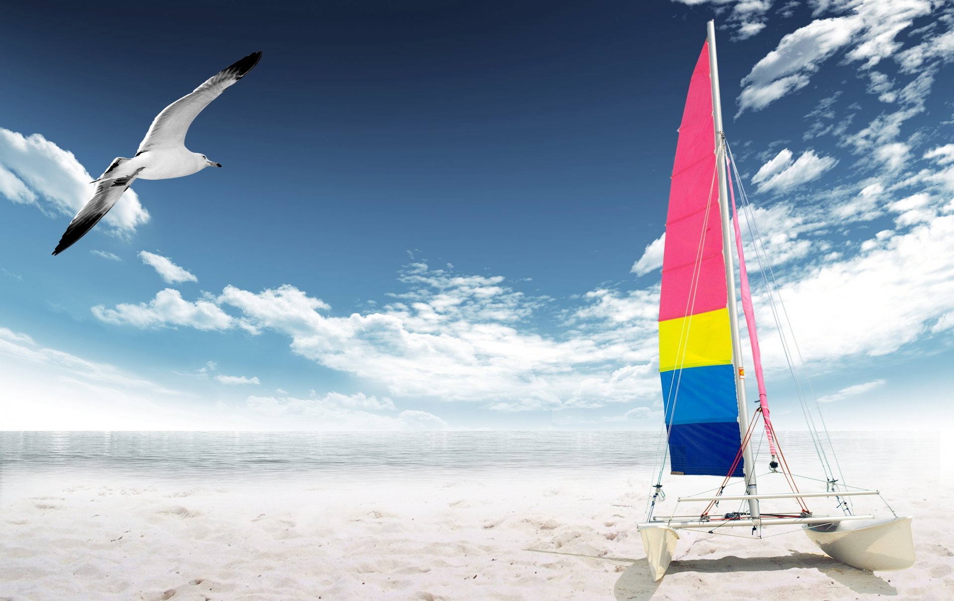 ea beach yacht seagull shore sand