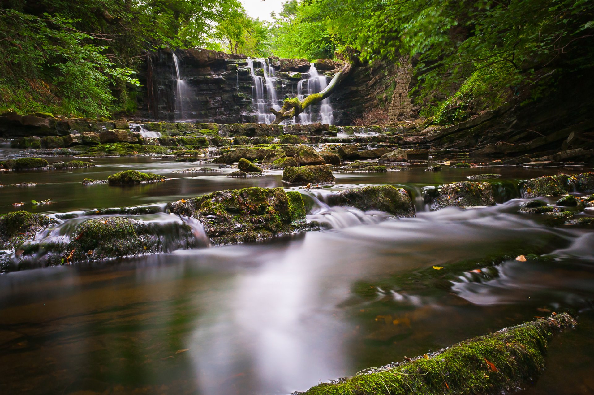 bosque rocas río corriente cascada árboles piedras