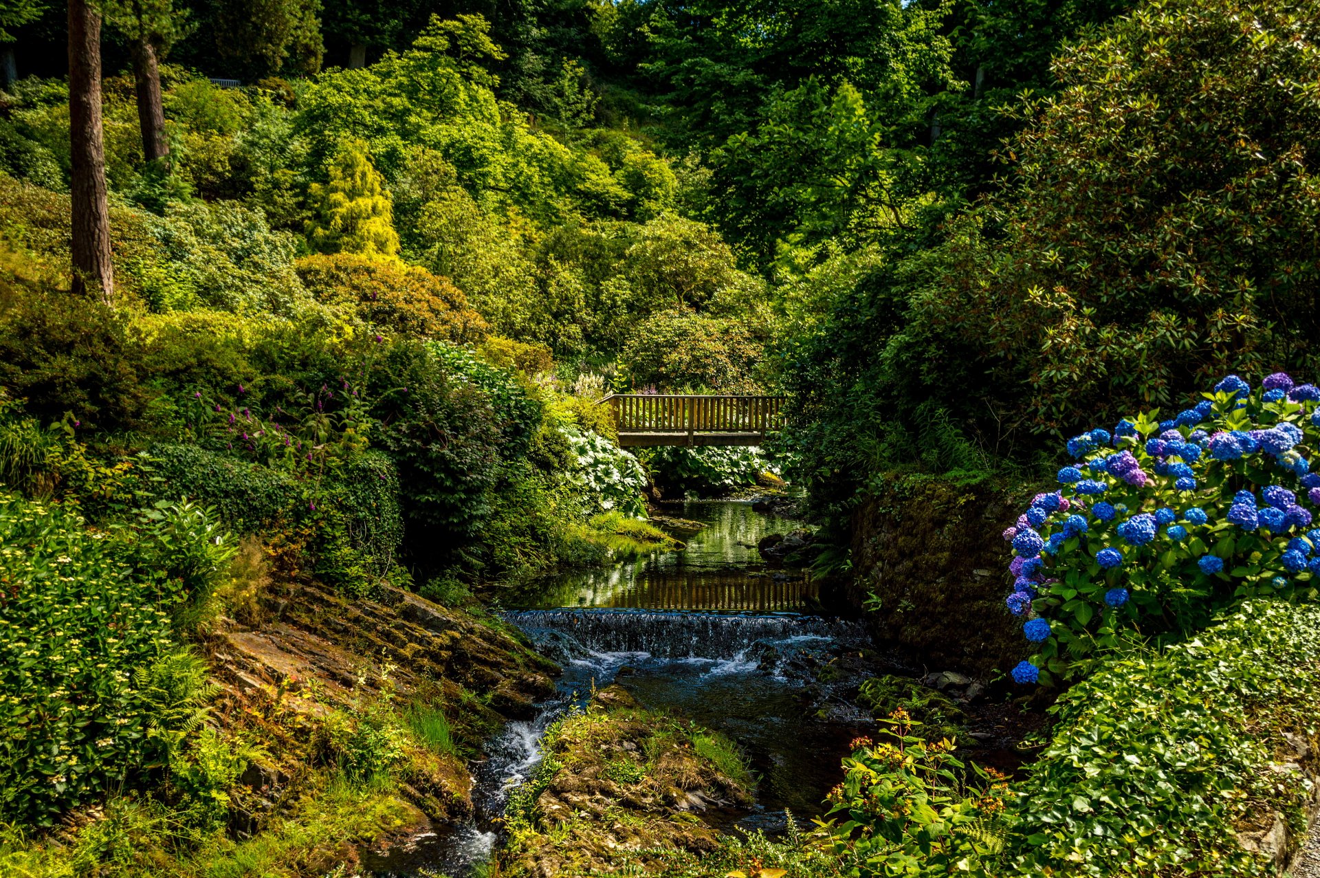 großbritannien bodnant gardens wales park grüns büsche bäume bach brücke