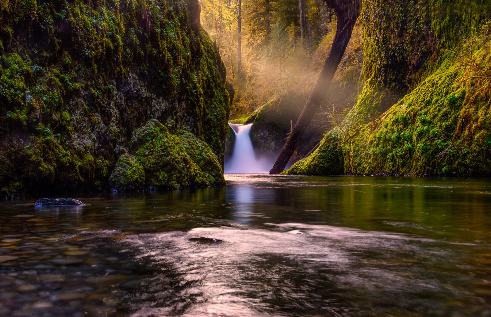 waterfall forest nature lake tree river