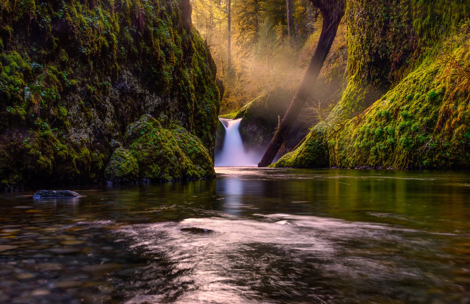 cascada bosque naturaleza lago árboles río