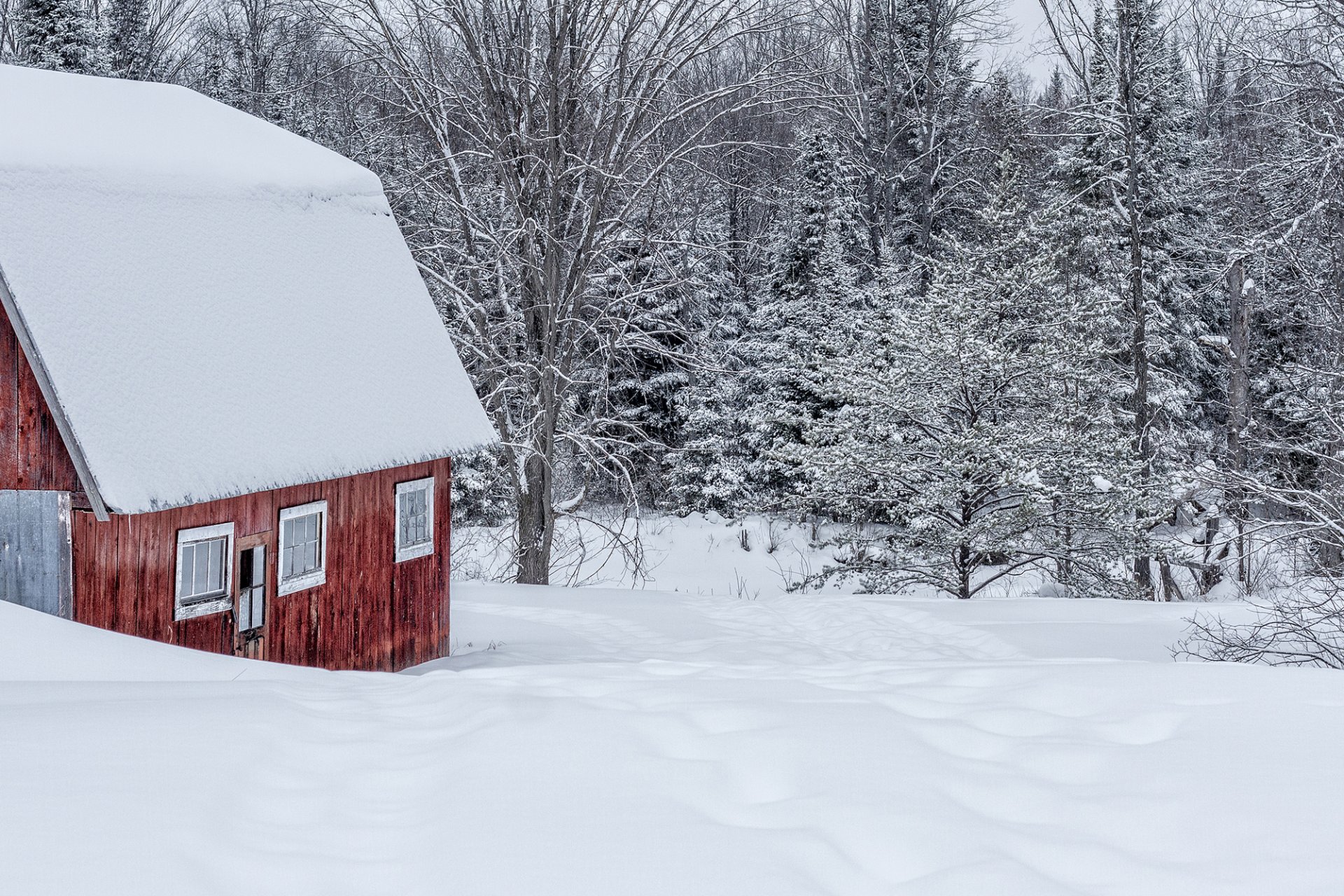 casa costruzione neve inverno foresta alberi natura