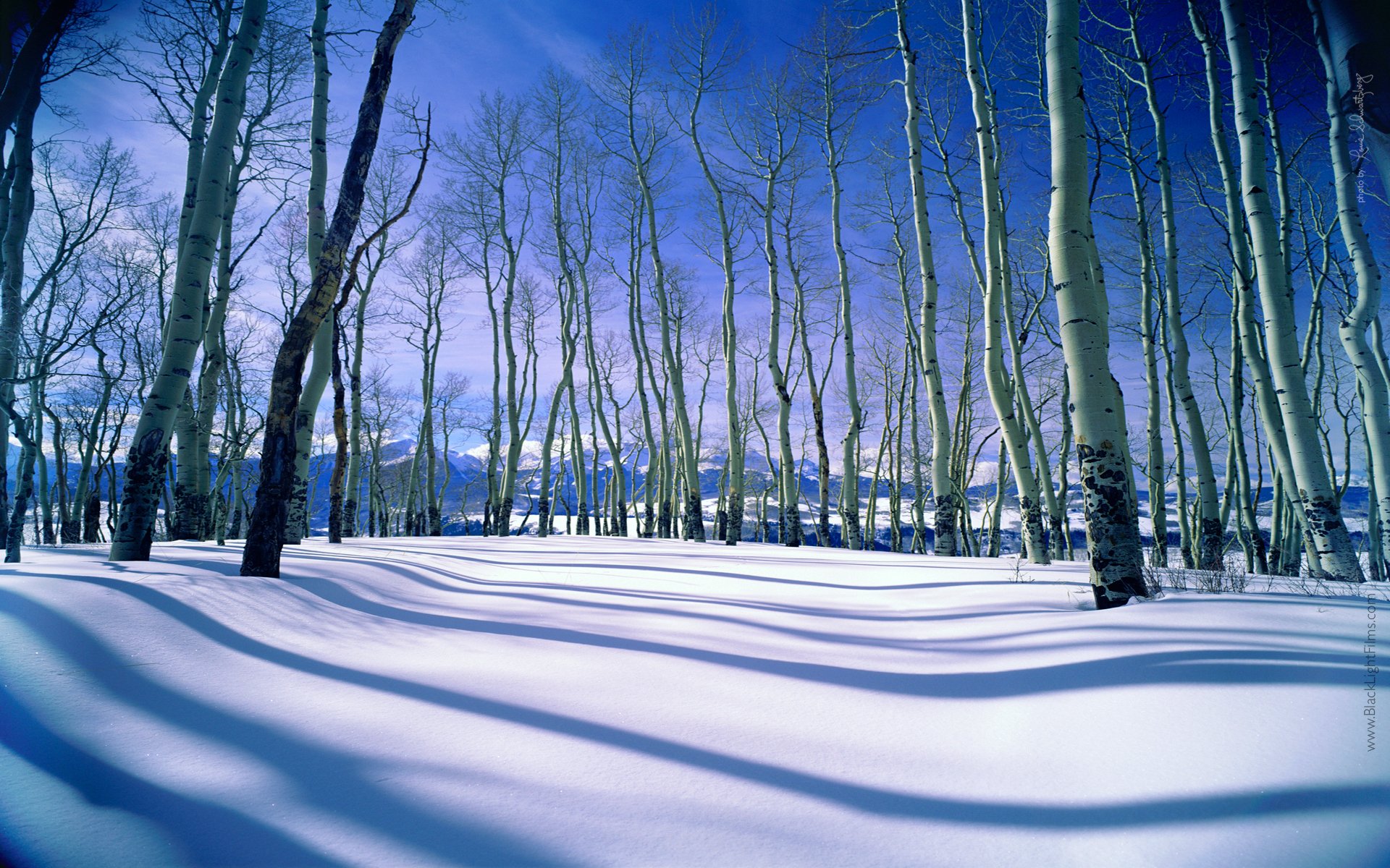 cielo montagne alberi inverno neve