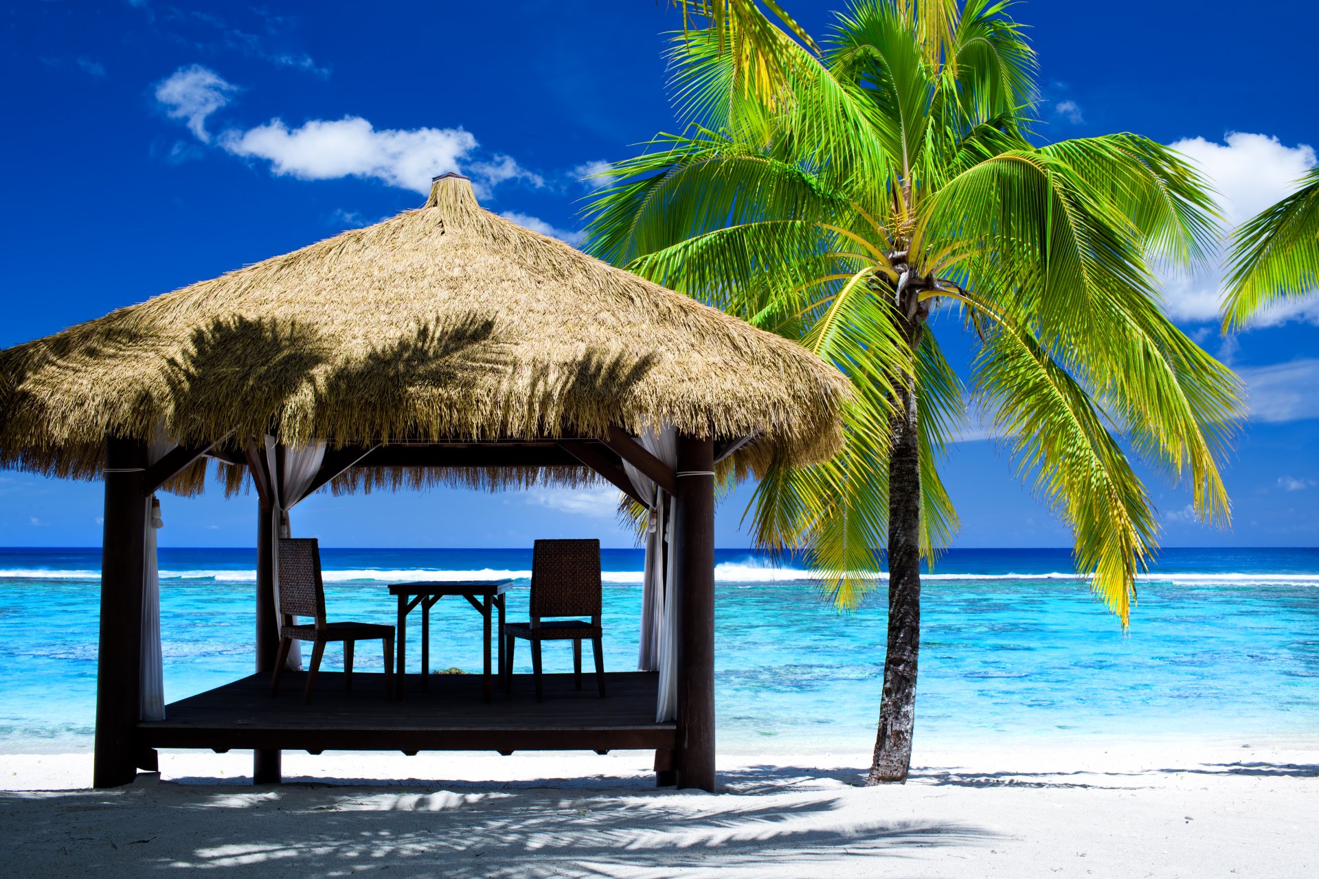 strand meer im sommer laube ufer palme sommer urlaub