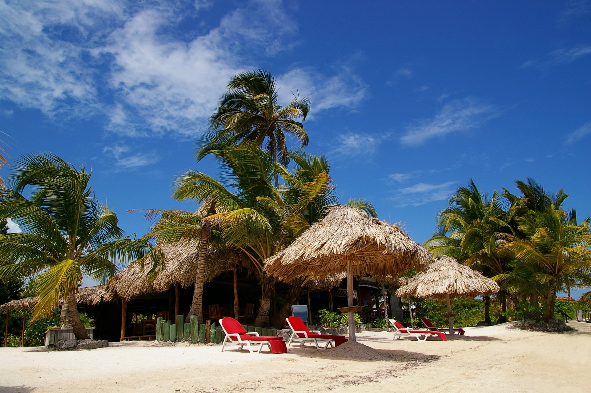 garden furniture beds umbrellas palm beach sport