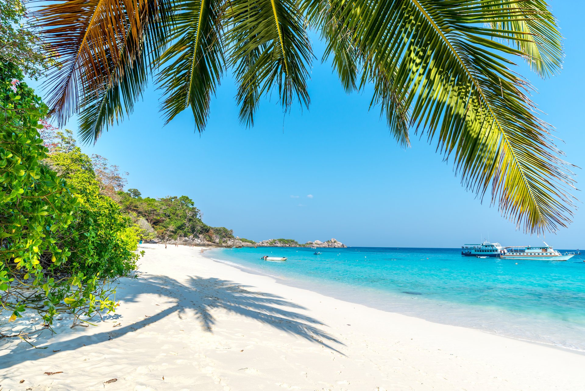 im sommer strand meer küste paradies tropisch sand palmen