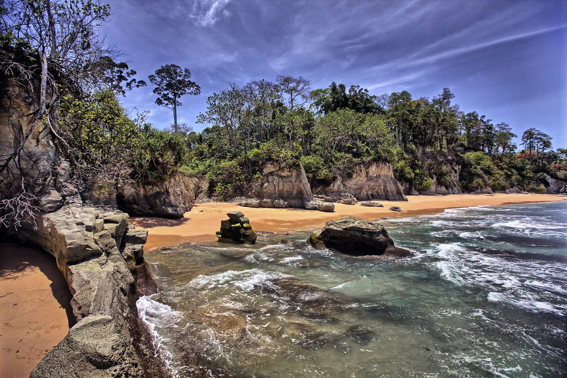 beach stones tree sky sea ocean nature