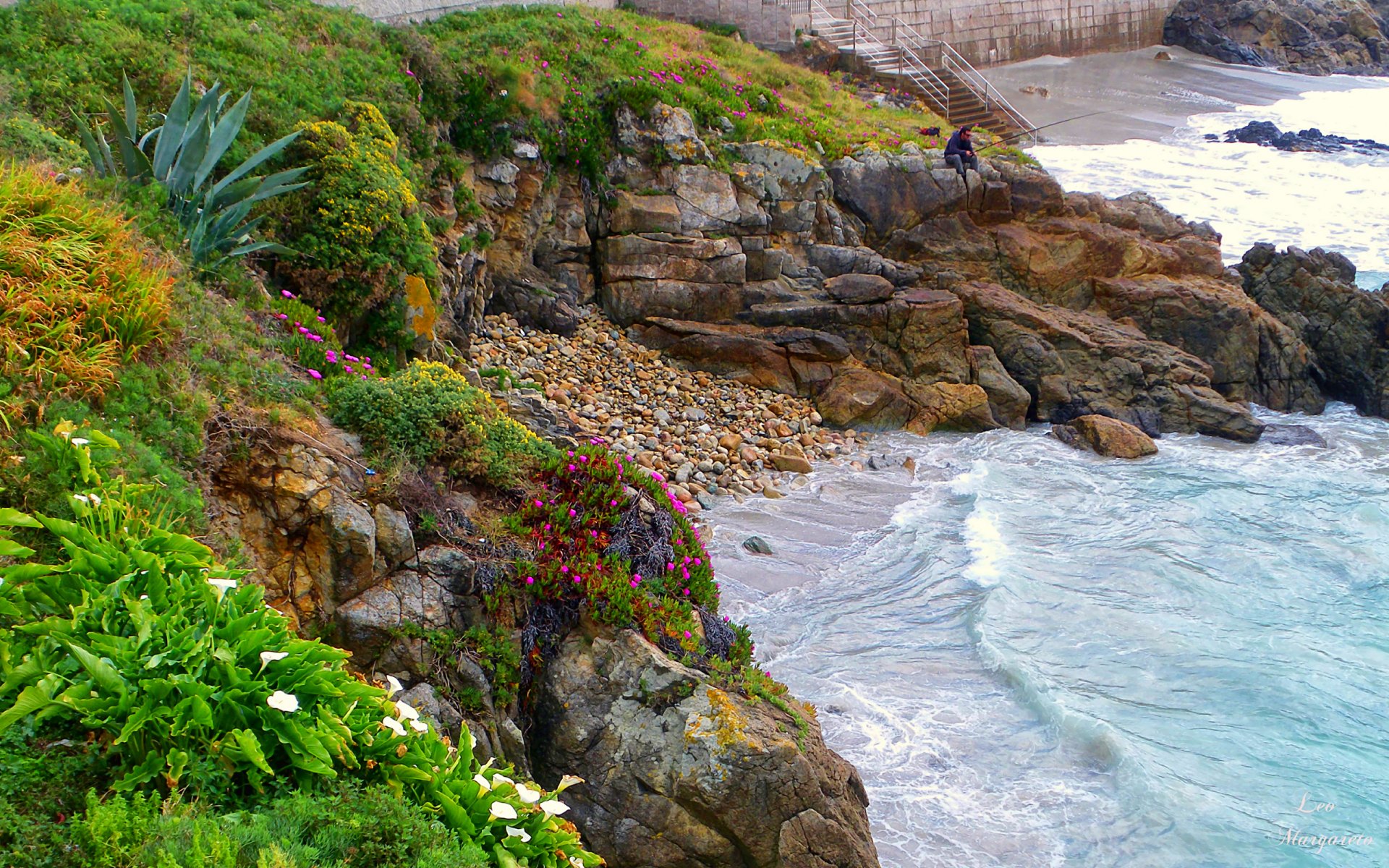 spagna costa piante fiori cespugli pescatore mare pietre