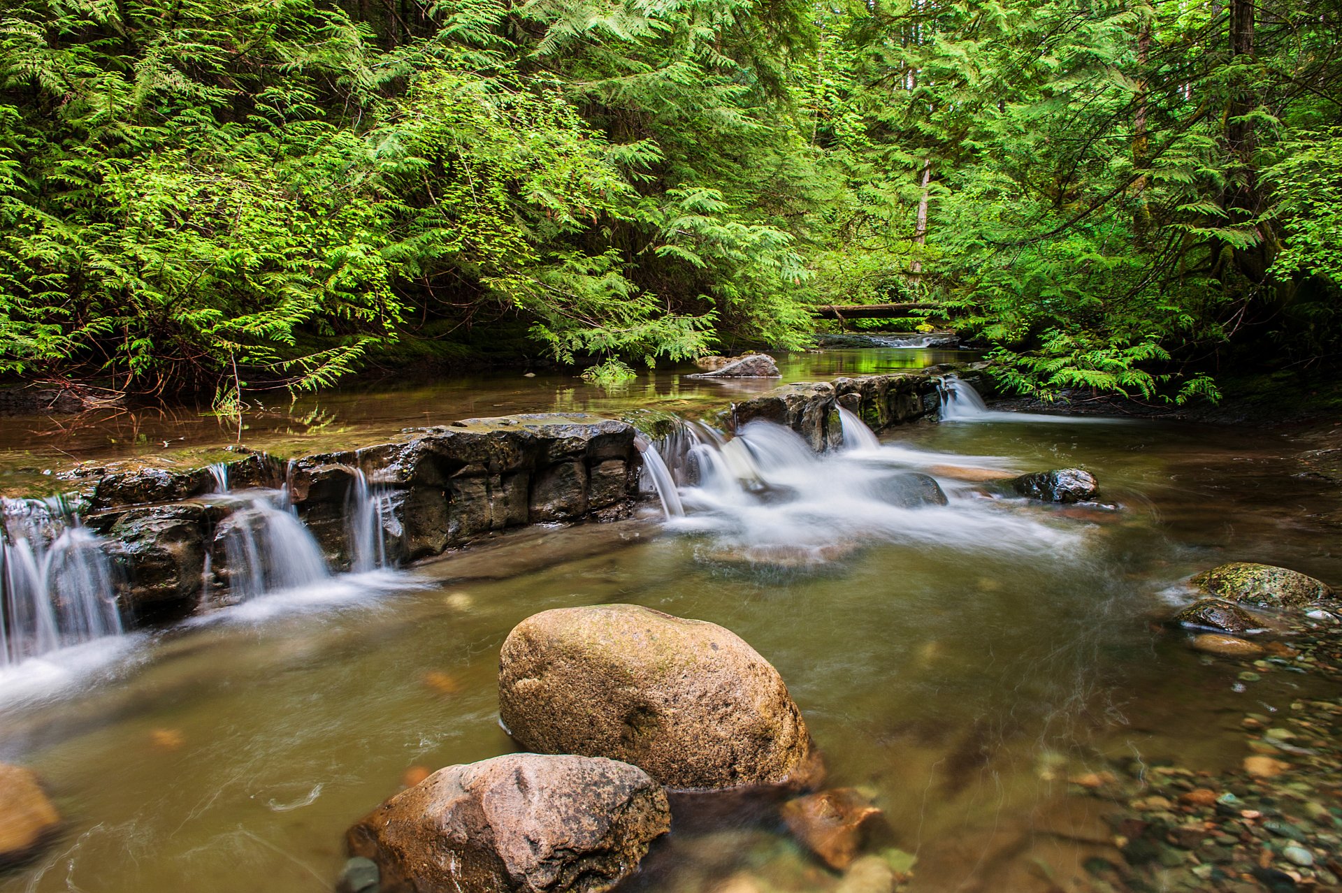 forêt rivière rapides rochers pierres cascade arbres