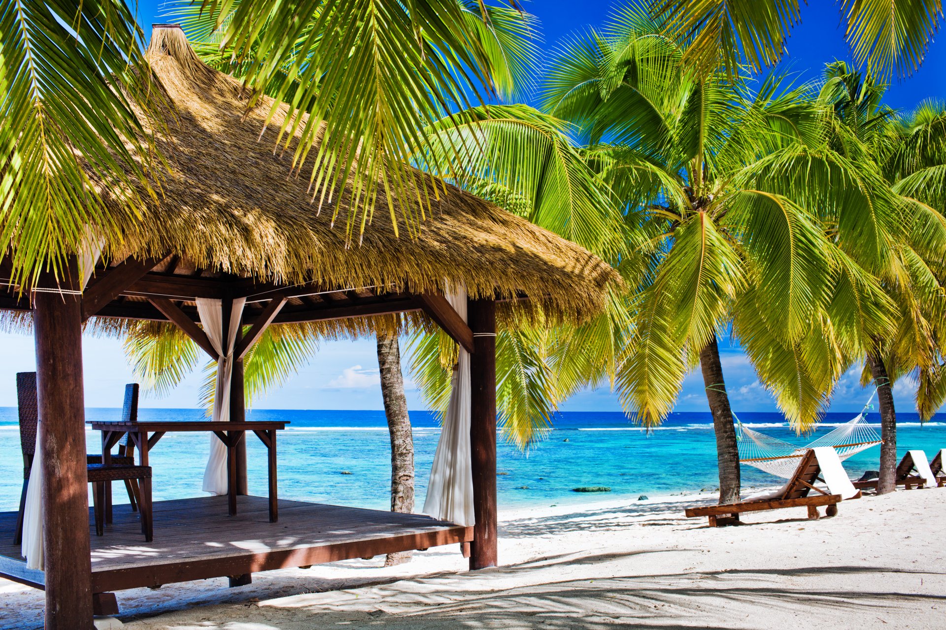 beach sea summer gazebo shore palm tree summer vacation