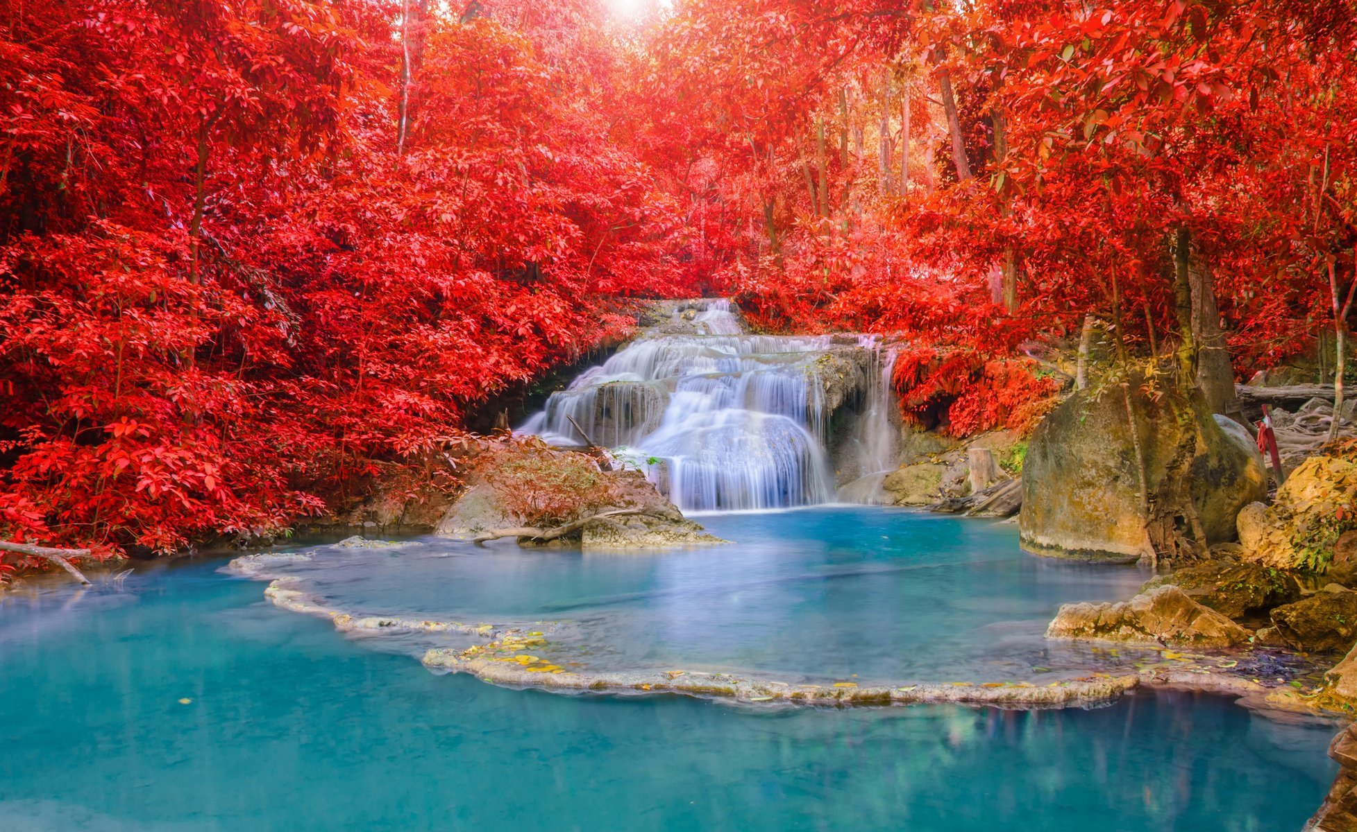 natura autunno foresta fiume cascata cascate bello acqua luce