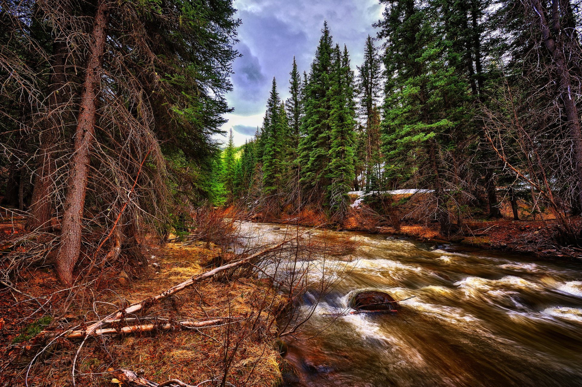 ky mountain forest river feed stones rapids landscape